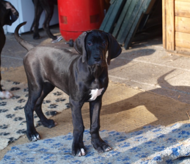 Catley Ranch vrh L 2014 - fotografie 23