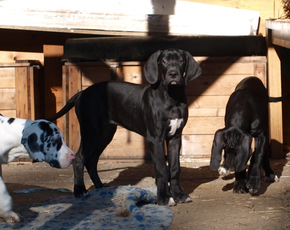 Catley Ranch vrh L 2014 - fotografie 25