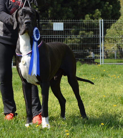 Catley Ranch vrh L 2014 - fotografie 39