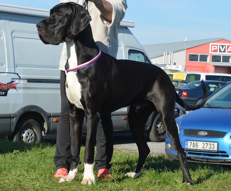 Catley Ranch vrh L 2014 - fotografie 40