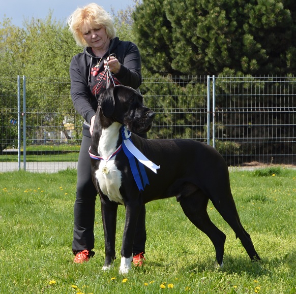 Catley Ranch vrh L 2014 - fotografie 41