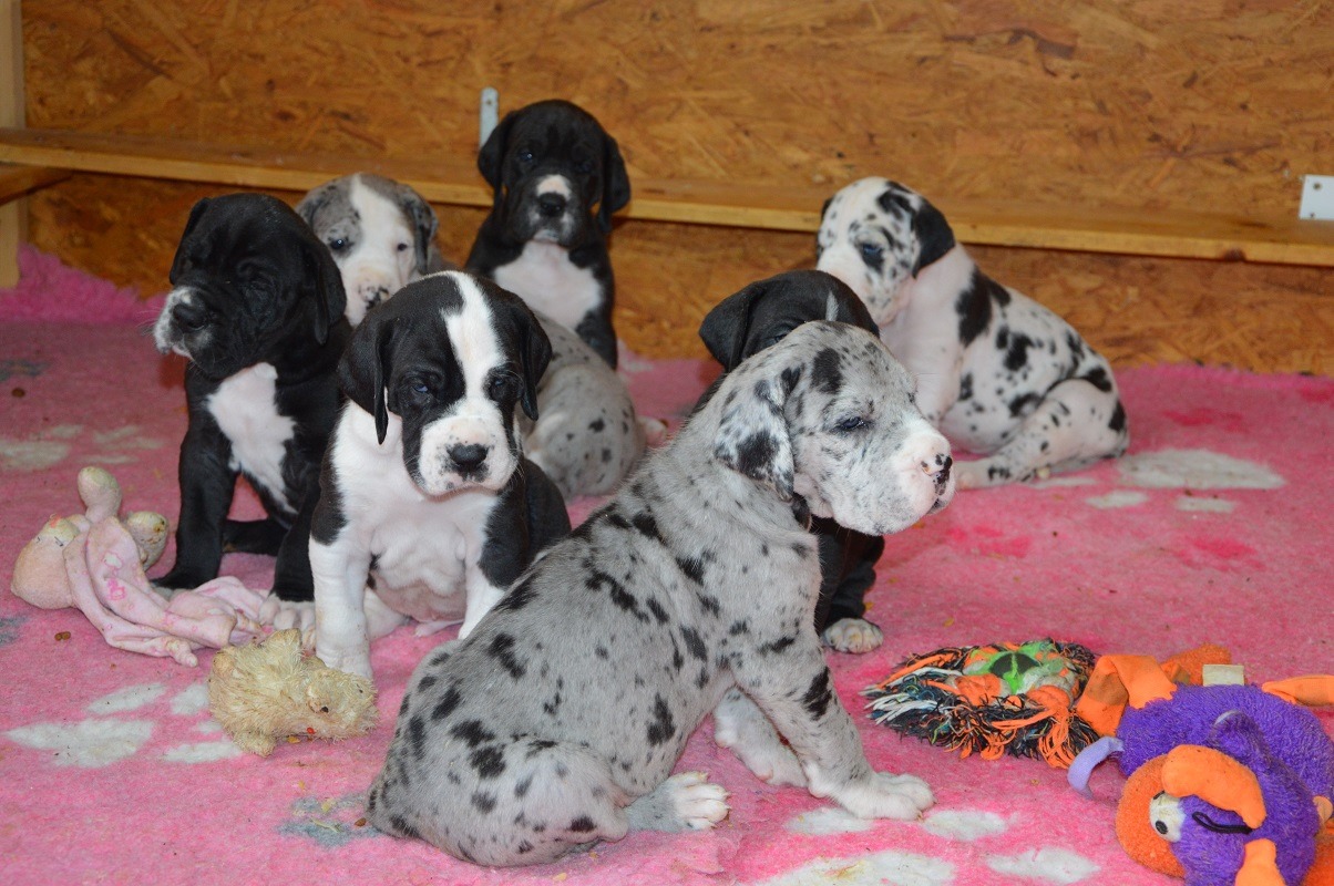 Catley Ranch vrh V 2020 - fotografie 34